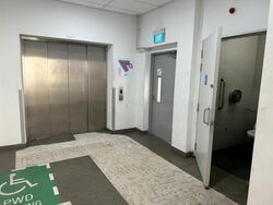 Mapex (D20), Factory #464733621